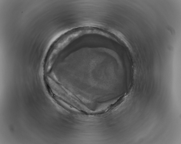 X0000113101024200910091135