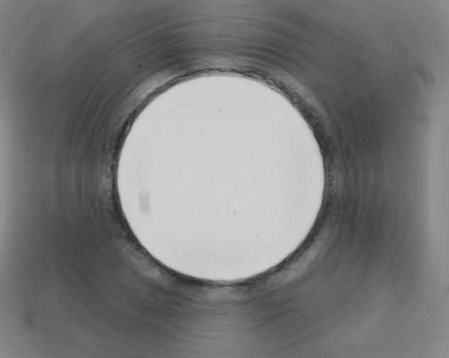 X0000113101025200910091135
