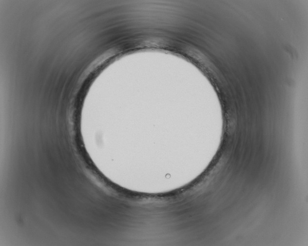 X0000113101026200910091135