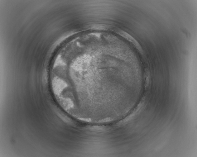X0000113101027200910091135