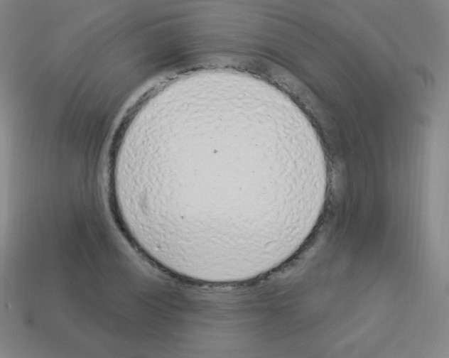 X0000113101028200910091135