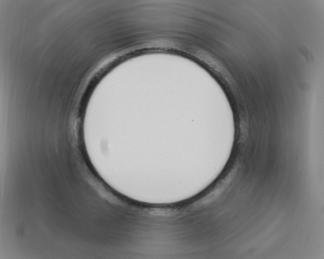 X0000113101029200910091135