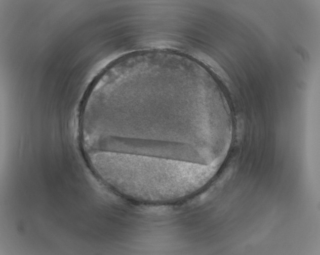X0000113101031200910091135