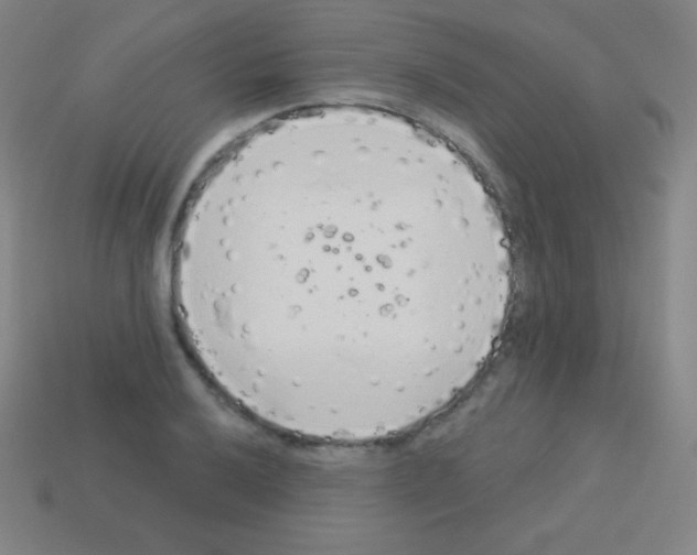 X0000113101032200910091135