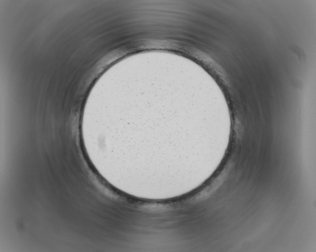 X0000113101033200910091135