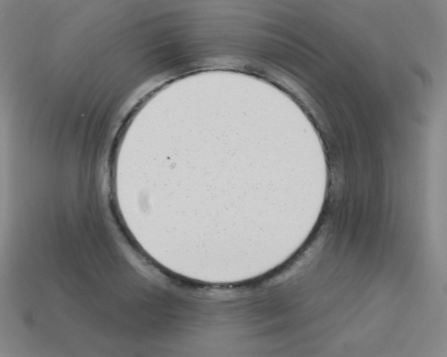X0000113101034200910091135
