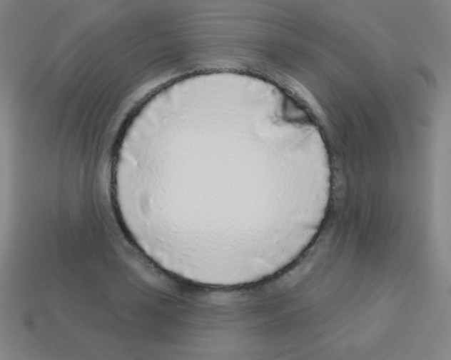 X0000113101035200910091135
