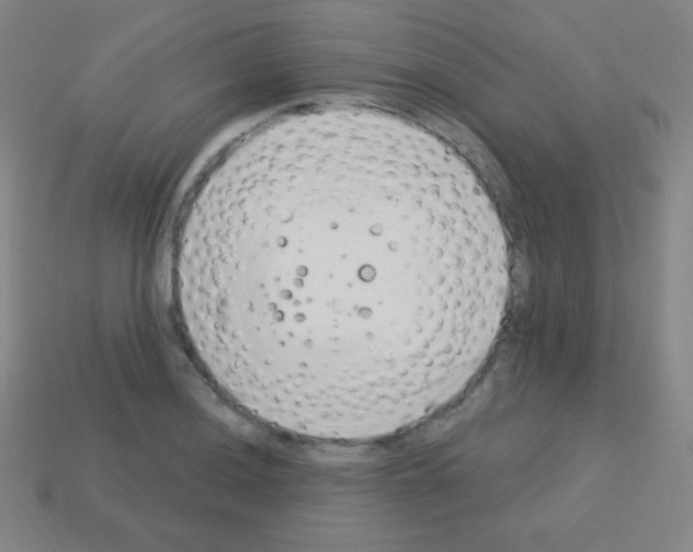 X0000113101036200910091135