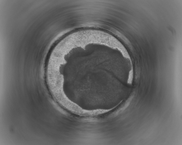 X0000113101037200910091135