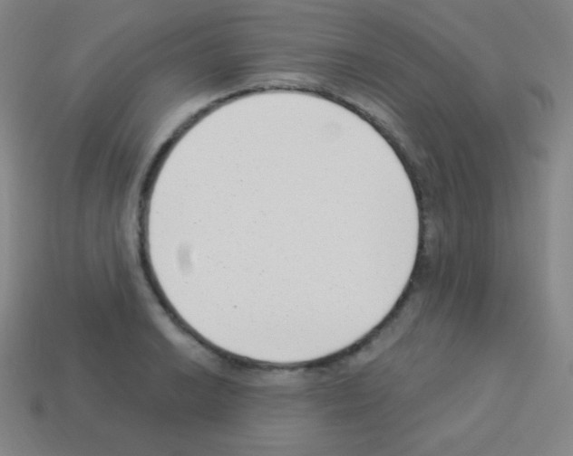 X0000113101038200910091135