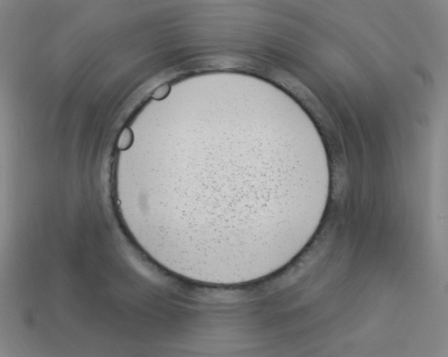 X0000113101039200910091135
