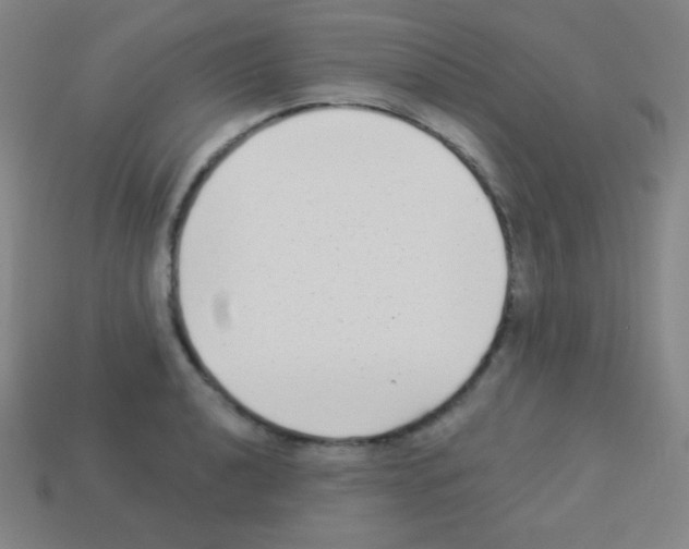 X0000113101040200910091135