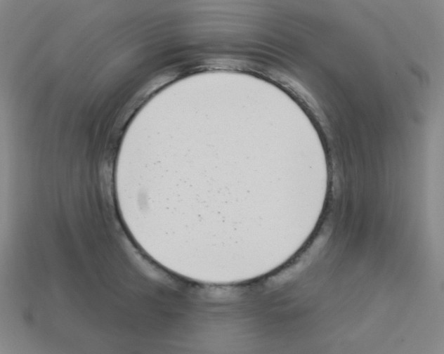X0000113101041200910091135