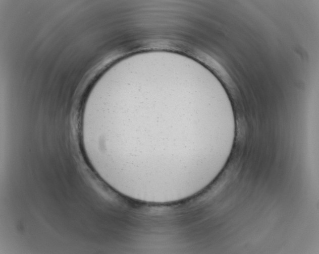 X0000113101043200910091135
