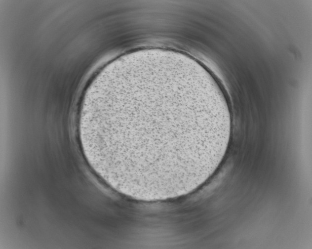 X0000113101045200910091135