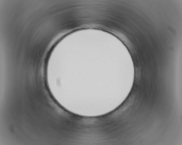 X0000113101046200910091135