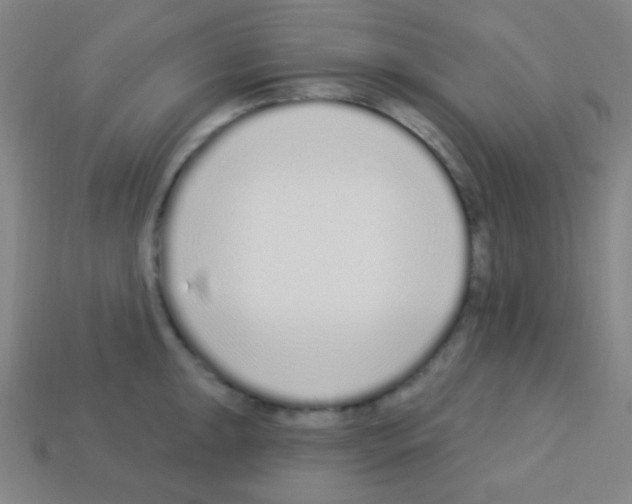 X0000113101047200910091135
