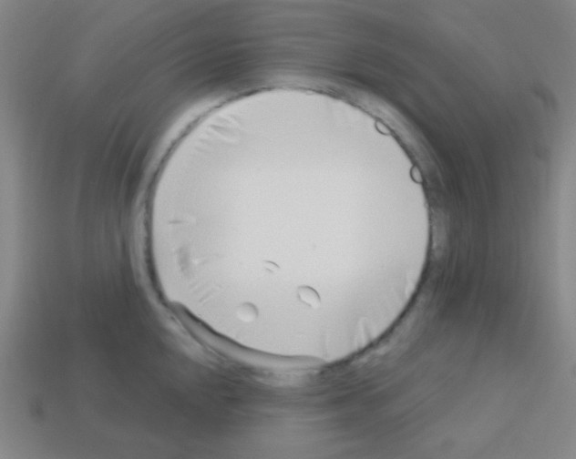 X0000113101048200910091135