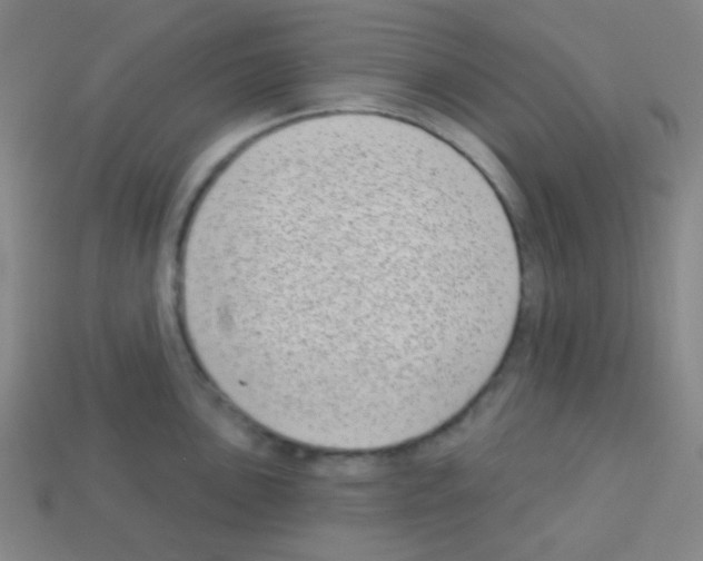 X0000113101051200910091135