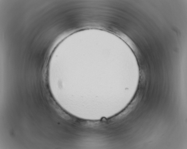X0000113101052200910091135