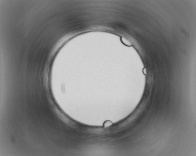 X0000113101054200910091135