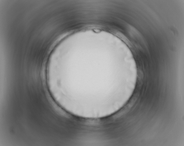 X0000113101055200910091135