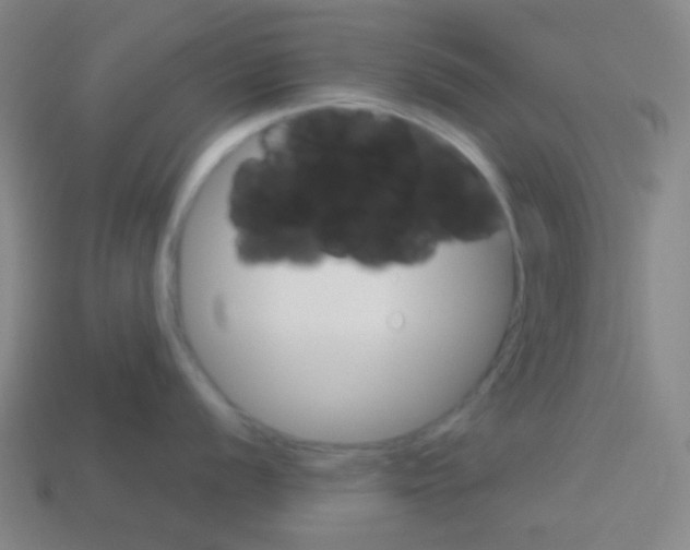 X0000113101056200910091135