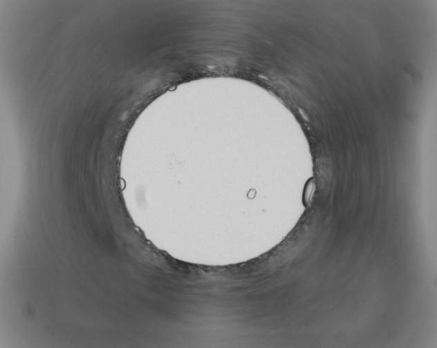 X0000113101057200910091135