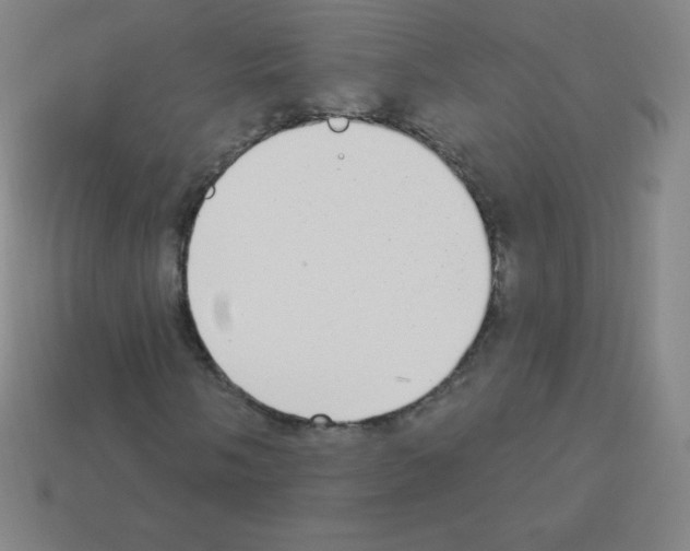 X0000113101058200910091135