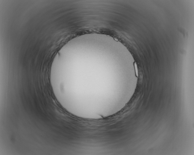 X0000113101060200910091135