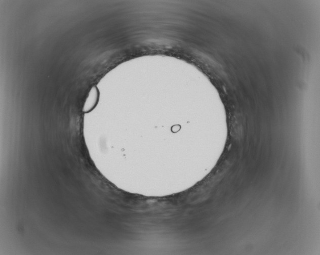 X0000113101061200910091135