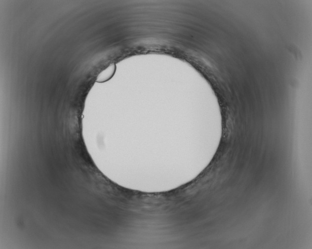 X0000113101062200910091135