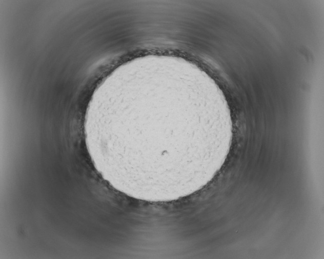X0000113101063200910091135