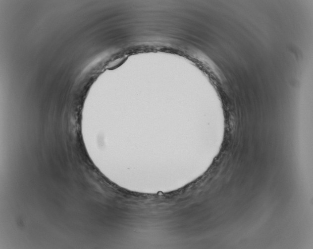 X0000113101064200910091135