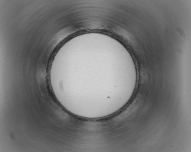 X0000113101065200910091135