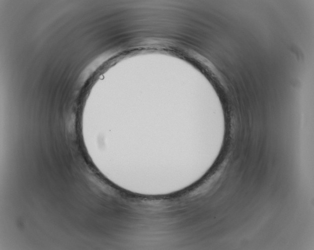 X0000113101066200910091135
