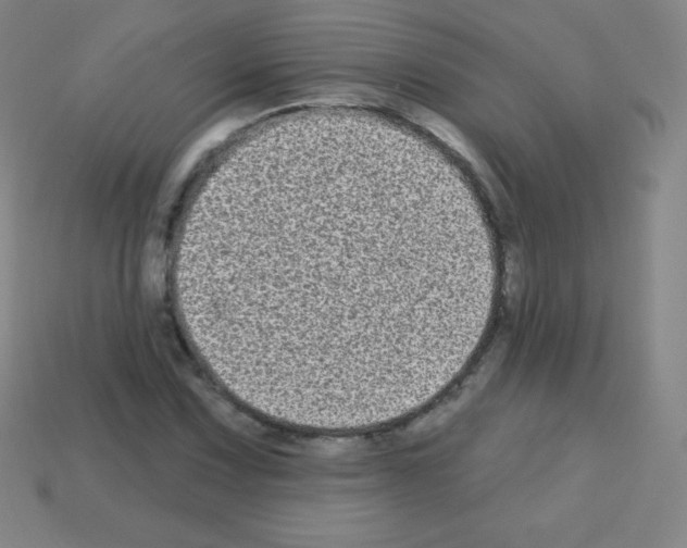 X0000113101067200910091135