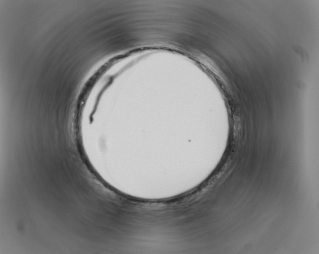 X0000113101068200910091135