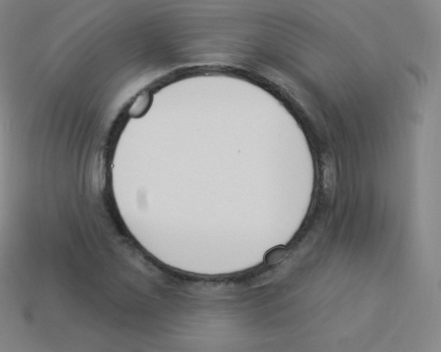 X0000113101069200910091135
