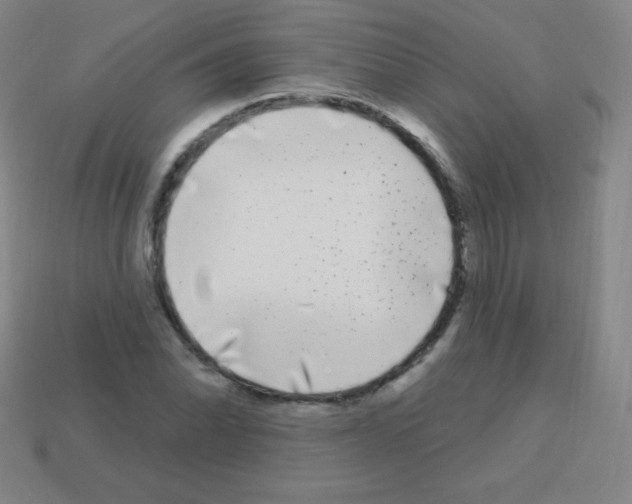 X0000113101070200910091135