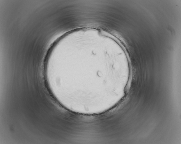 X0000113101071200910091135