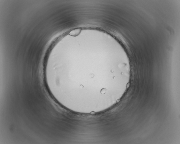 X0000113101072200910091135