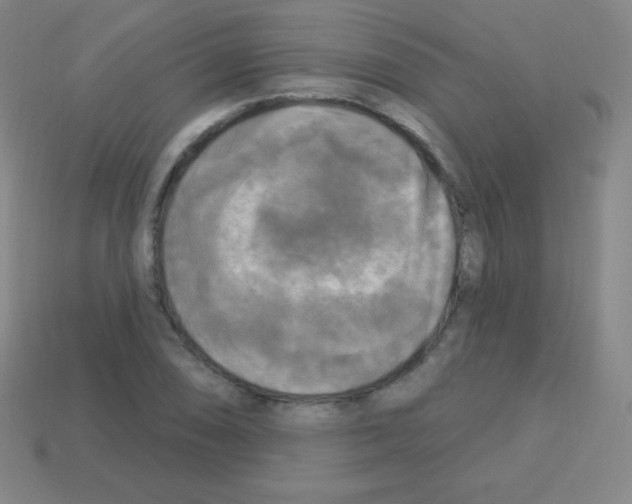 X0000113101074200910091135