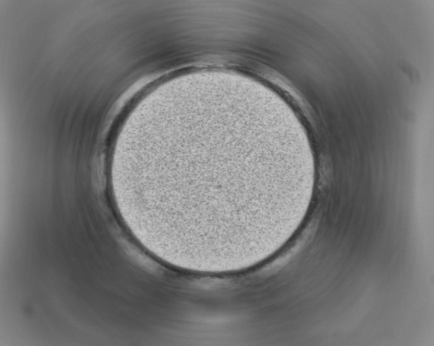X0000113101075200910091135