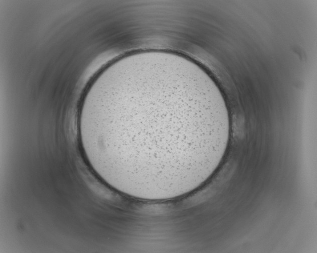 X0000113101078200910091134
