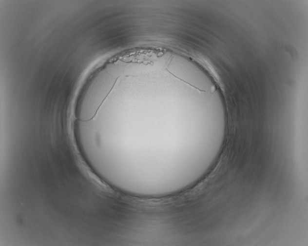 X0000113101080200910091134