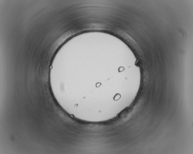 X0000113101081200910091134