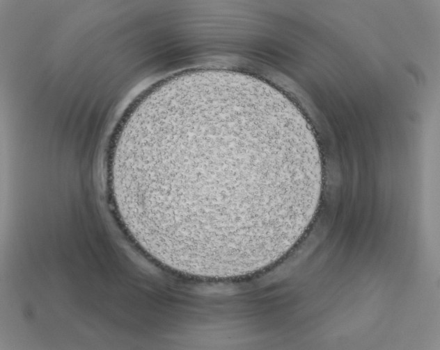 X0000113101083200910091134