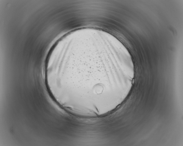 X0000113101084200910091134