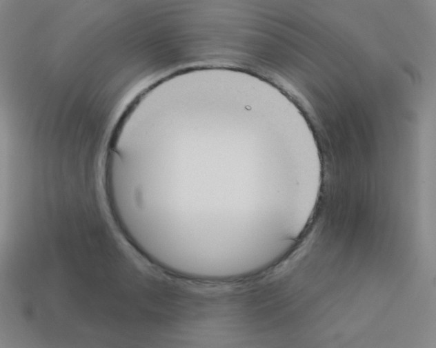 X0000113101085200910091134